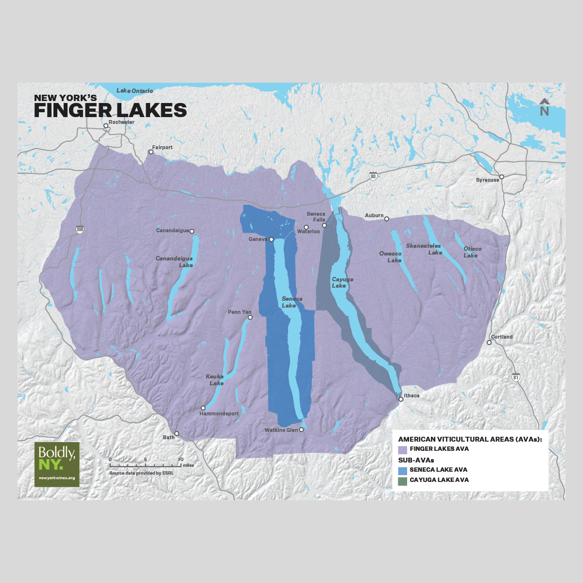 Finger Lakes AVA Map Flyers