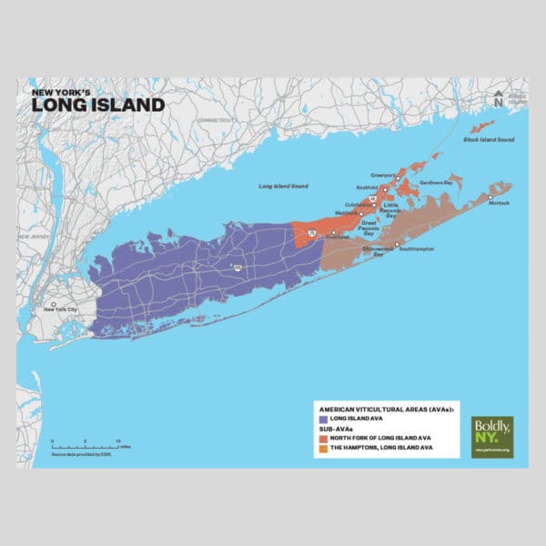 Long Island Map Flyer