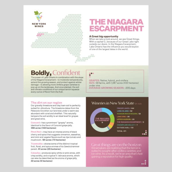 Niagara Info Sheet Front