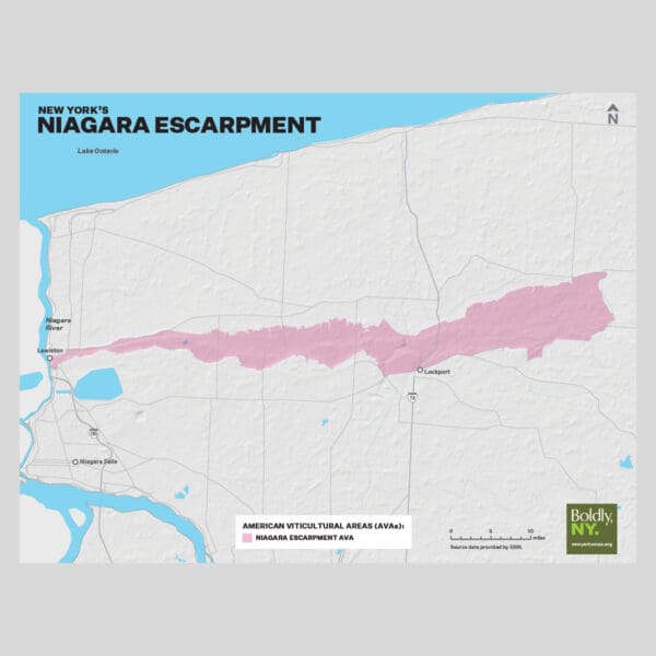 Niagara Map Flyer