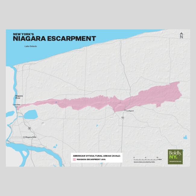 Niagara Map Poster